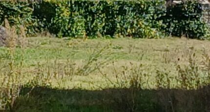 Calvisson Maison neuve - 2366568-11040annonce120251212JOsd2.jpeg Maisons France Confort