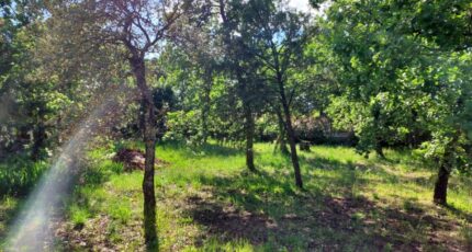 Le Cannet-des-Maures Maison neuve - 2366744-11137annonce1202504301Mue2.jpeg Maisons France Confort