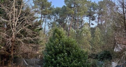 Martillac Maison neuve - 2331761-11275annonce120251107mtuCA.jpeg Maisons France Confort