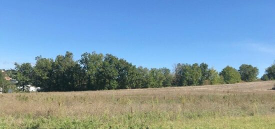 Terrain à bâtir à Puygouzon, Occitanie