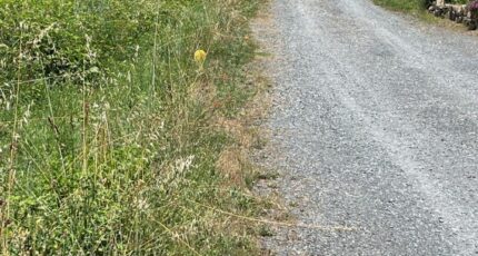 Arthès Terrain à bâtir - 2301698-2684annonce320251010TIsgi.jpeg Maisons France Confort