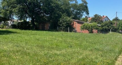 Albi Maison neuve - 2303267-2684annonce120251013JaonU.jpeg Maisons France Confort