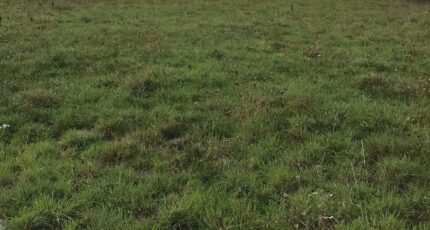 Lalacelle Maison neuve - 2366686-1153annonce12025121218NrR.jpeg Maisons France Confort