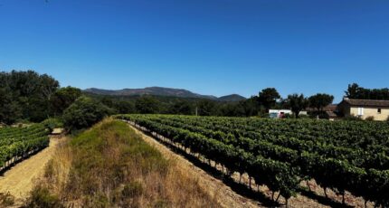 Saint-Tropez Terrain à bâtir - 2368638-3701annonce120251215uZrwI.jpeg Maisons France Confort