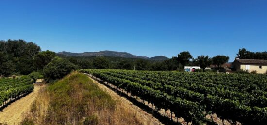 Terrain à bâtir à Saint-Tropez, Provence-Alpes-Côte d'Azur