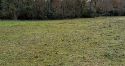 Saint-Maximin-la-Sainte-Baume Maison neuve - 2368643-11238annonce320251215ynDyx.jpeg Maisons France Confort