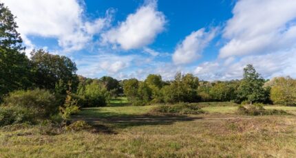 Saint-Avertin Maison neuve - 2369041-10205annonce1202504179VT9l.jpeg Maisons France Confort