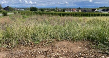 Beblenheim Maison neuve - 2369220-11028annonce220250721k7pko.jpeg Maisons France Confort