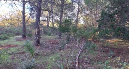 Puget-sur-Argens Terrain à bâtir - 2314468-11157annonce4202510225r7JZ.jpeg Maisons France Confort