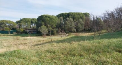 Roquebrune-sur-Argens Terrain à bâtir - 2314435-11157annonce420251022Dkw1l.jpeg Maisons France Confort