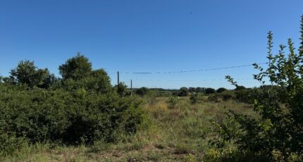 Montpezat Maison neuve - 2307602-11455annonce1202510162KXtM.jpeg Maisons France Confort