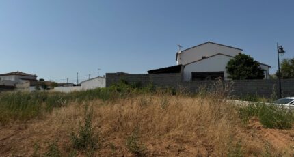 Pomérols Terrain à bâtir - 2307347-11455annonce120250625P3PkX.jpeg Maisons France Confort