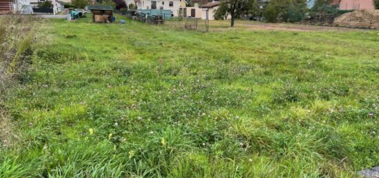 Terrain à bâtir à Issenheim, Grand Est