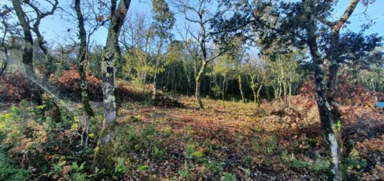 Terrain à bâtir à Labastide-de-Virac, Auvergne-Rhône-Alpes