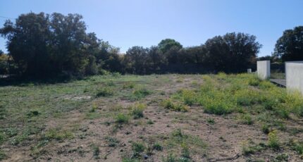 Vic-la-Gardiole Terrain à bâtir - 2318283-11040annonce120251026SfXDl.jpeg Maisons France Confort