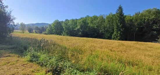 Terrain à bâtir à , Ariège