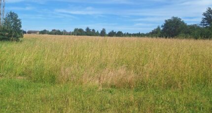 Cologne Maison neuve - 2318463-3575annonce220251026TewaV.jpeg Maisons France Confort