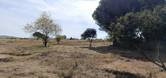 Terrain à bâtir à Poussan, Occitanie