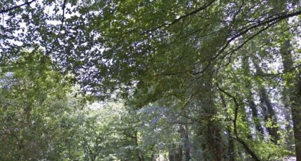 Latresne Terrain à bâtir - 2377552-11382annonce120251229sz0CD.jpeg Maisons France Confort