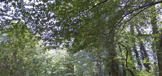 Terrain à bâtir à Latresne, Nouvelle-Aquitaine