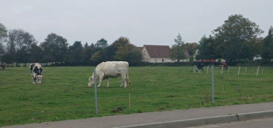 Terrain à bâtir à , Seine-Maritime