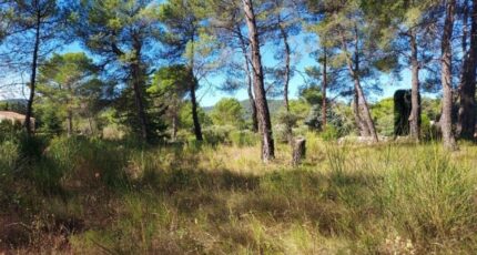 Brignoles Terrain à bâtir - 2312769-10025annonce120251021LZxLV.jpeg Maisons France Confort