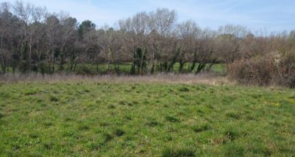 Fox-Amphoux Terrain à bâtir - 2312964-10025annonce220251021ewz62.jpeg Maisons France Confort