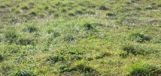 Terrain à bâtir à Trausse, Occitanie