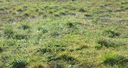 Trausse Maison neuve - 2379397-10986annonce120250828bKomW.jpeg Maisons France Confort