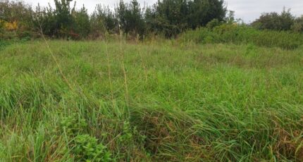 Gauriaguet Terrain à bâtir - 2371926-11015annonce12025121859Kdz.jpeg Maisons France Confort