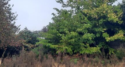 Bordeaux Maison neuve - 2379444-11151annonce120250225cSJTF.jpeg Maisons France Confort