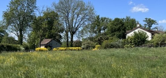 Terrain à bâtir à Jussac, Auvergne-Rhône-Alpes