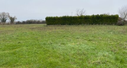 Champagne Terrain à bâtir - 2379464-11194annonce220260102nvQqg.jpeg Maisons France Confort