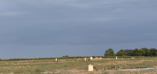 Terrain à bâtir à , Vendée