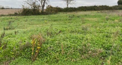 Surgères Terrain à bâtir - 2379560-11194annonce220260102FzTHx.jpeg Maisons France Confort