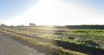 Harnes Terrain à bâtir - 2379196-6130annonce120251231Hmxdn.jpeg Maisons France Confort