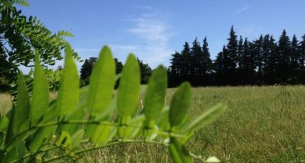 Cavaillon Maison neuve - 2379793-417annonce120260102fUhof.jpeg Maisons France Confort