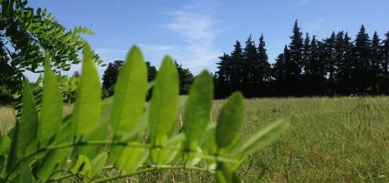 Terrain à bâtir à Cavaillon, Provence-Alpes-Côte d'Azur