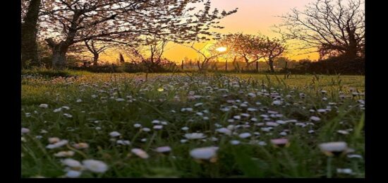 Terrain à bâtir à , Gironde