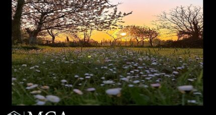 Saint-Genès-de-Fronsac Maison neuve - 2379838-11687annonce220260102hhX82.jpeg Maisons France Confort