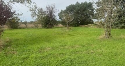 Joué-lès-Tours Terrain à bâtir - 2292485-11654annonce120251003HlLuH.jpeg Maisons France Confort