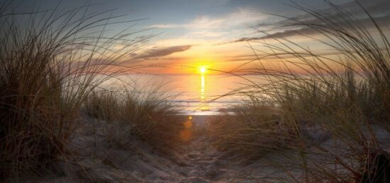 Terrain à bâtir à , Gironde