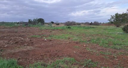 Fos-sur-Mer Terrain à bâtir - 2380083-11041annonce420260103T8cz1.jpeg Maisons France Confort