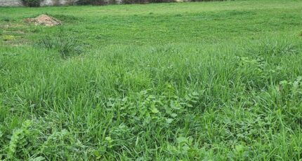 Bron Terrain à bâtir - 2379818-11092annonce120250331vulhS.jpeg Maisons France Confort