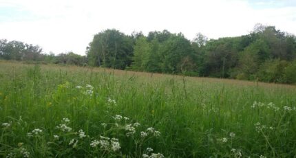 Saint-Jean-d'Ataux Terrain à bâtir - 2380131-5020annonce120260103gvSpe.jpeg Maisons France Confort