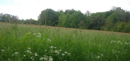 Terrain à bâtir à Saint-Jean-d'Ataux, Nouvelle-Aquitaine