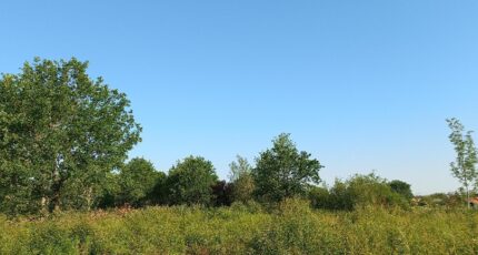 Montpon-Ménestérol Terrain à bâtir - 2380130-5020annonce1202601030IUmw.jpeg Maisons France Confort