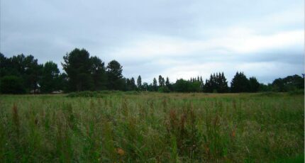 Saint-Michel-de-Double Terrain à bâtir - 2380134-5020annonce120260103UWWxk.jpeg Maisons France Confort