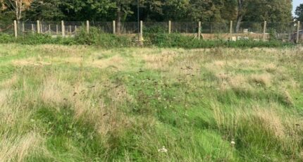 Saintry-sur-Seine Terrain à bâtir - 2341045-10626annonce120251117W1TGU.jpeg Maisons France Confort