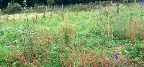 Terrain à bâtir à Baulne, Île-de-France